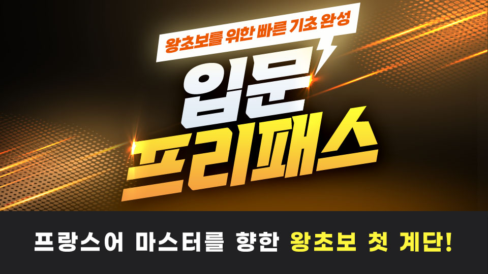 입문 프리패스 이미지